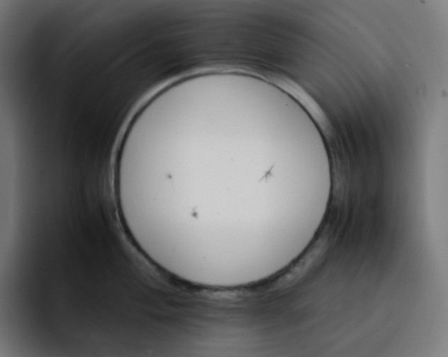 X0000093161004200710101150