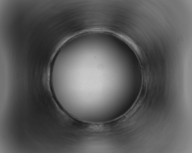 X0000093161006200710101150