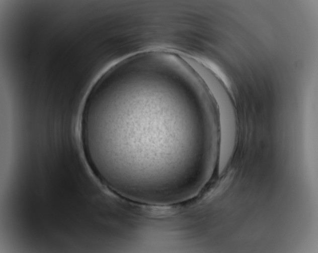X0000093161007200710101150