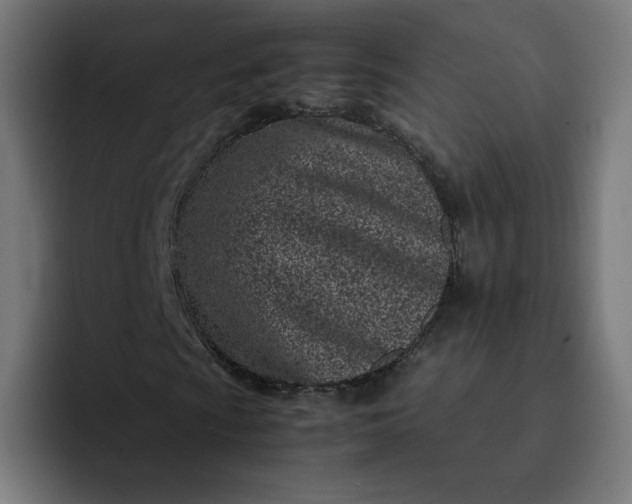 X0000093161009200710101150