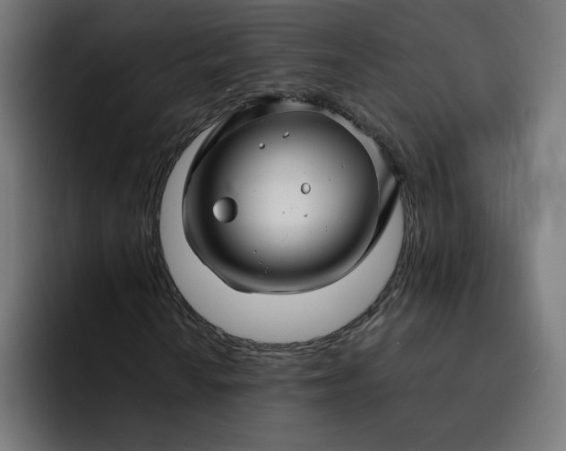 X0000093161010200710101150