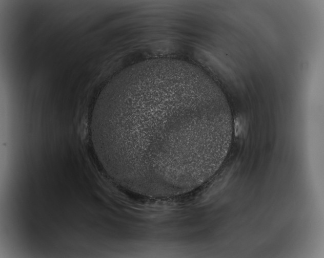 X0000093161011200710101150