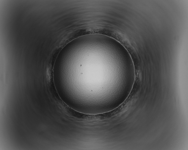 X0000093161012200710101150