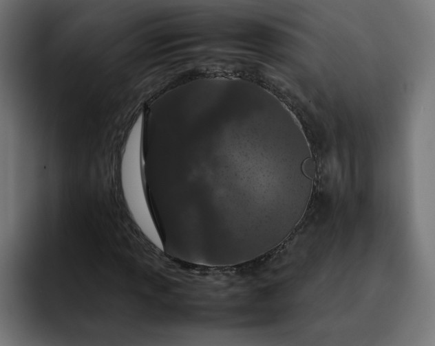 X0000093161013200710101150