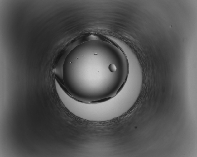 X0000093161014200710101150