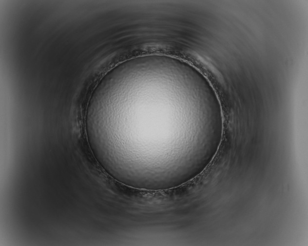 X0000093161015200710101150