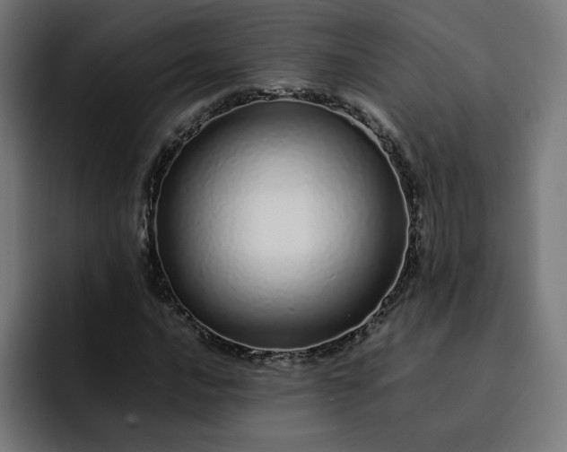 X0000093161016200710101150