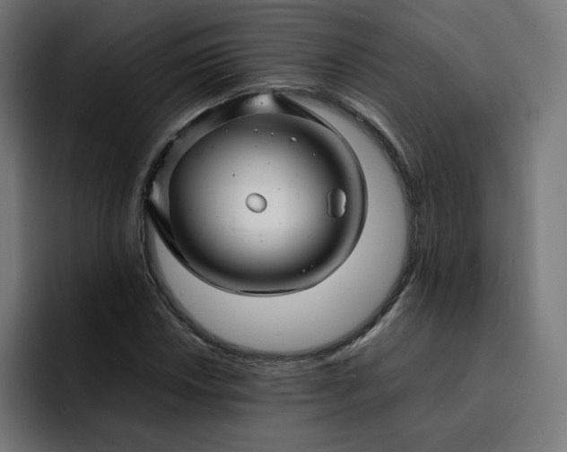 X0000093161018200710101150
