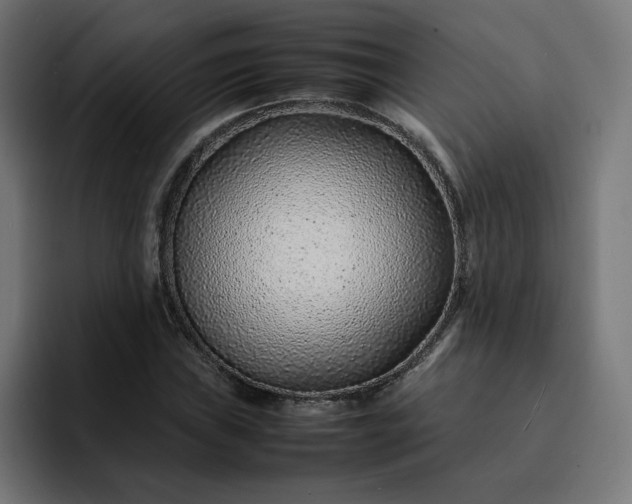 X0000093161019200710101150