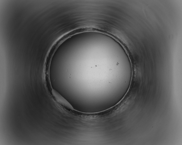 X0000093161020200710101150
