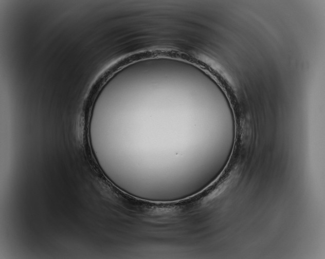 X0000093161021200710101150