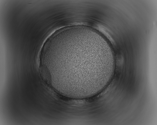 X0000093161023200710101150