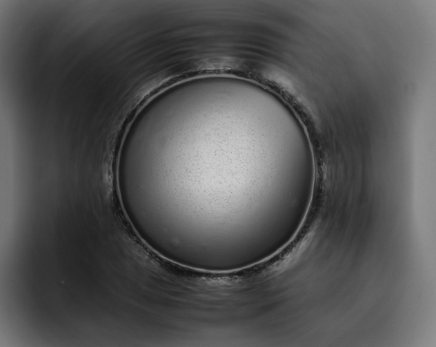 X0000093161025200710101150
