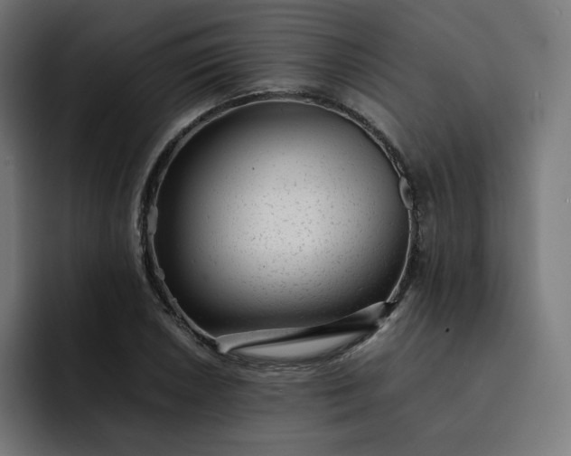X0000093161026200710101150