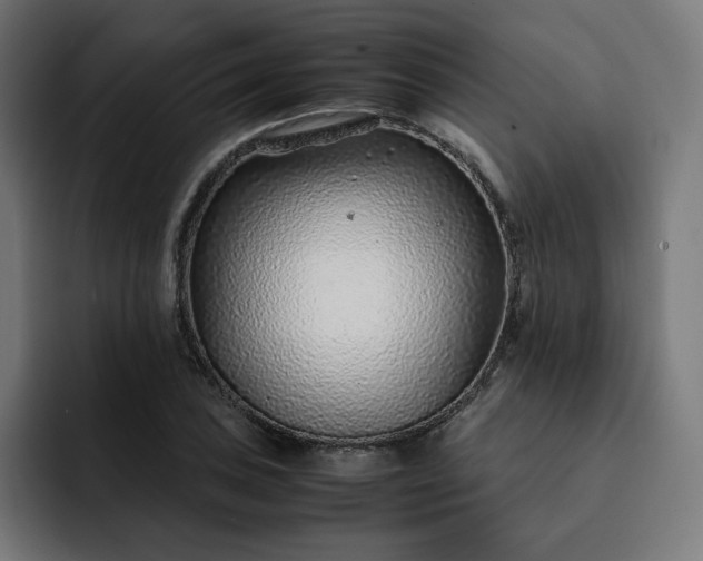 X0000093161027200710101150