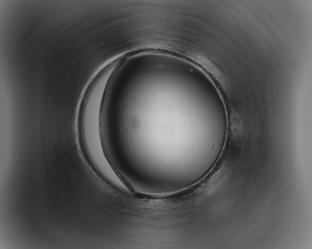 X0000093161028200710101150