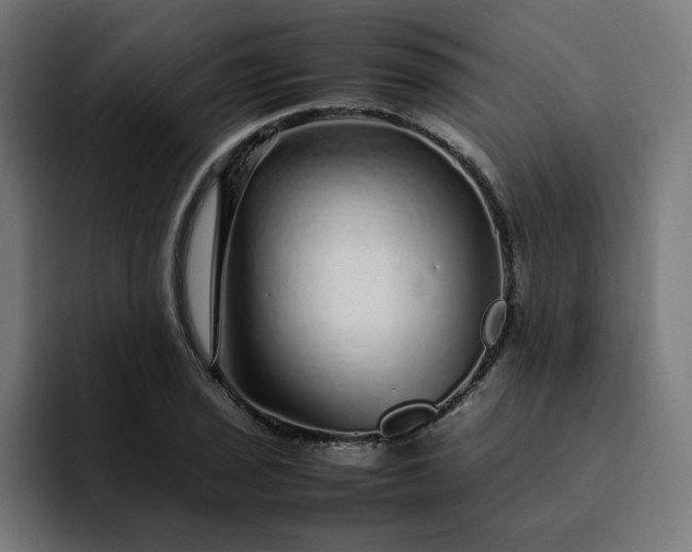 X0000093161029200710101150