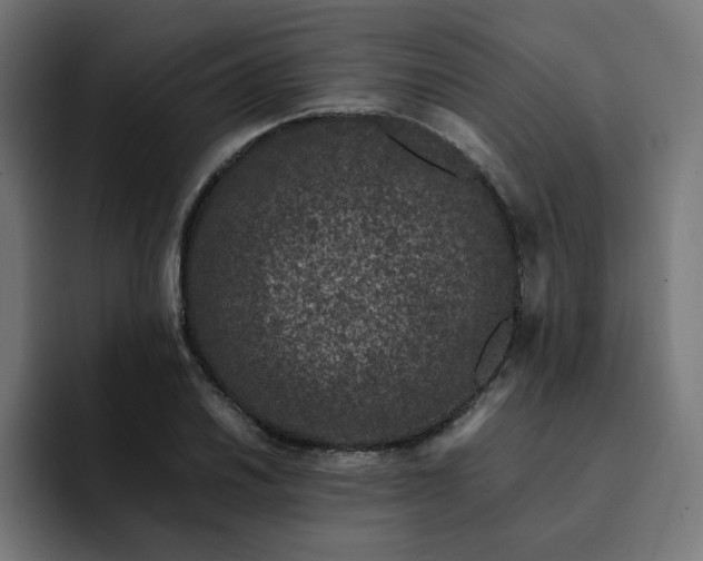 X0000093161030200710101150