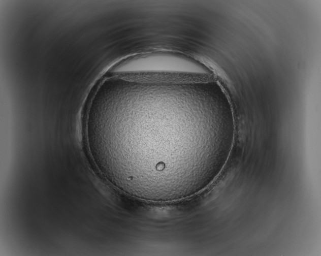 X0000093161031200710101150