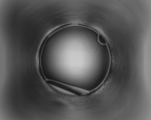 X0000093161032200710101150