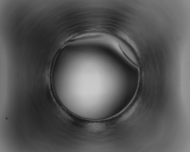 X0000093161033200710101150