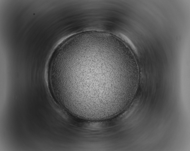 X0000093161035200710101150