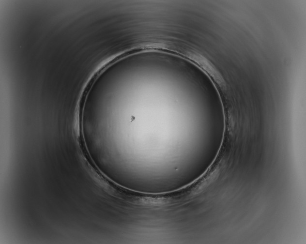 X0000093161036200710101150