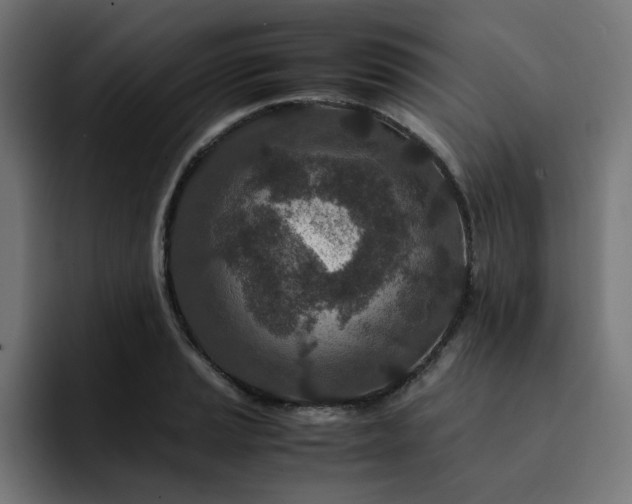 X0000093161037200710101150
