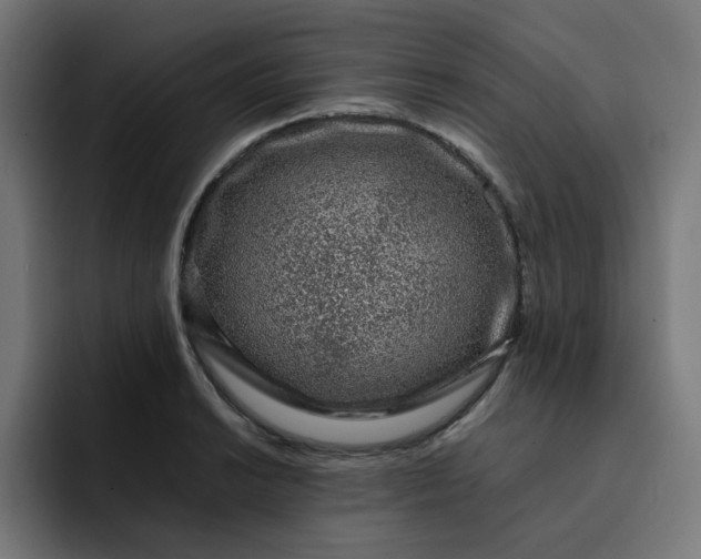 X0000093161038200710101150