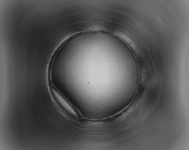 X0000093161039200710101150