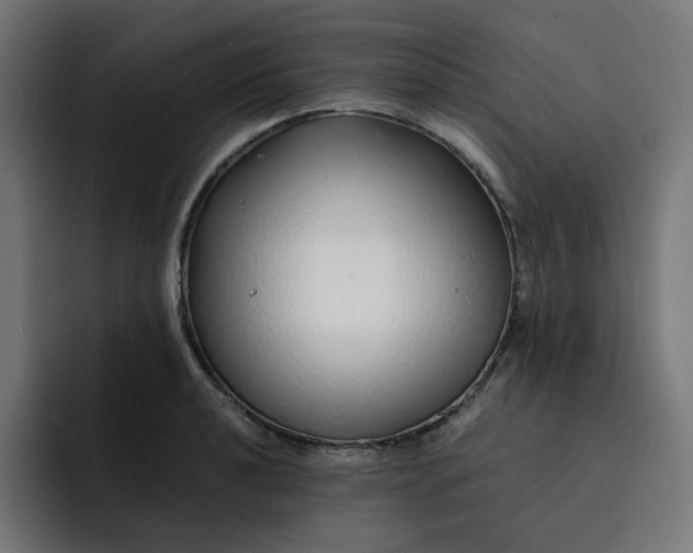 X0000093161040200710101150