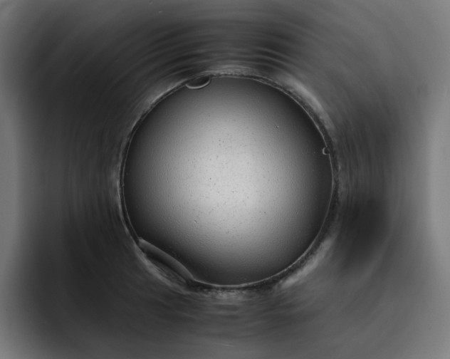 X0000093161041200710101150