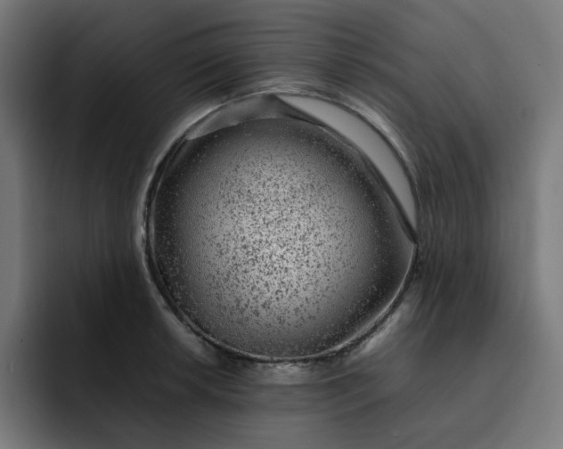 X0000093161042200710101150