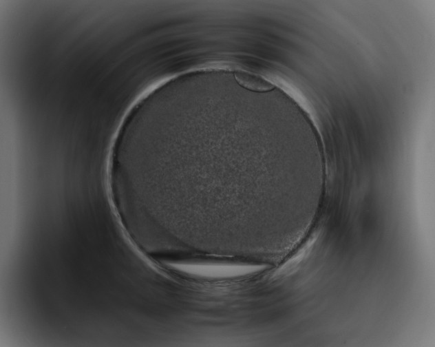 X0000093161045200710101150