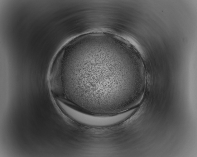 X0000093161046200710101150