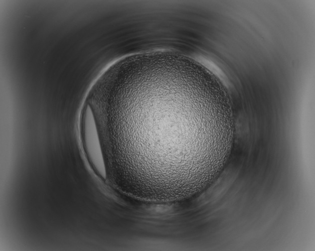 X0000093161047200710101150