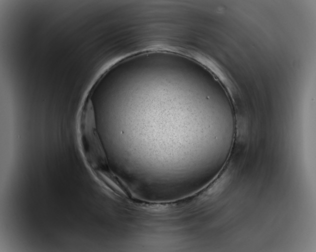 X0000093161048200710101150
