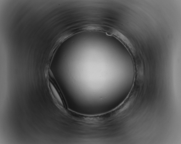 X0000093161049200710101150