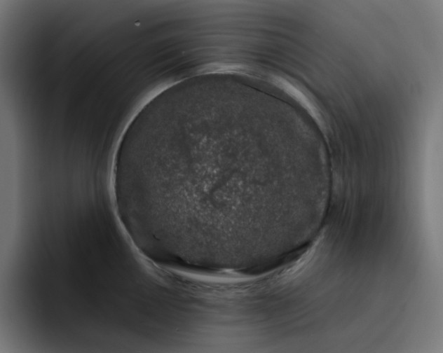 X0000093161050200710101150