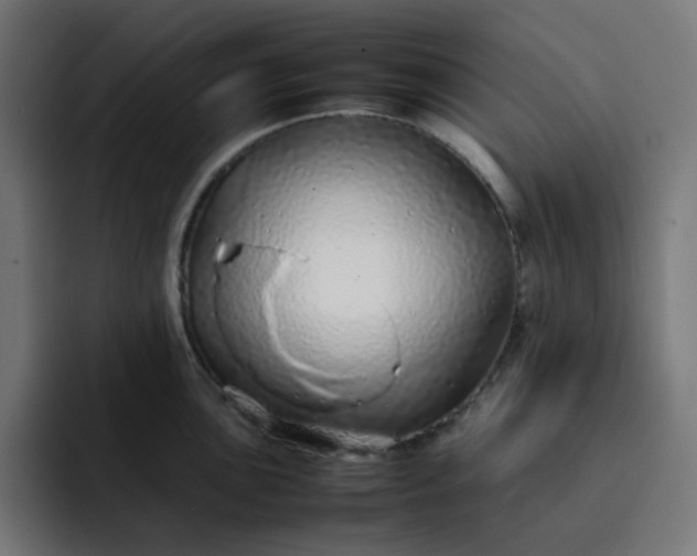 X0000093161051200710101150