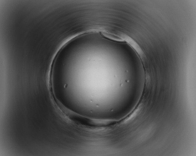 X0000093161052200710101150
