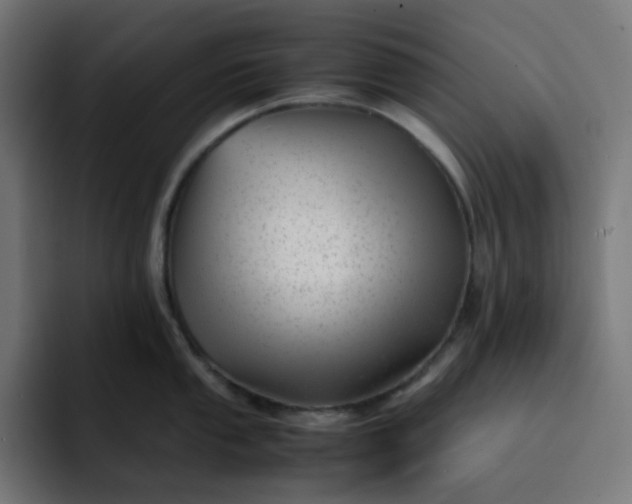 X0000093161053200710101150