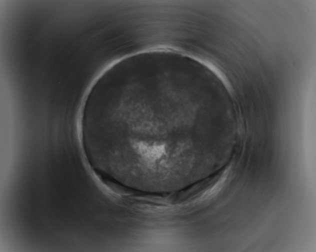 X0000093161054200710101150