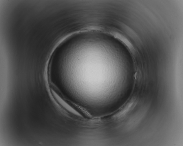 X0000093161055200710101150