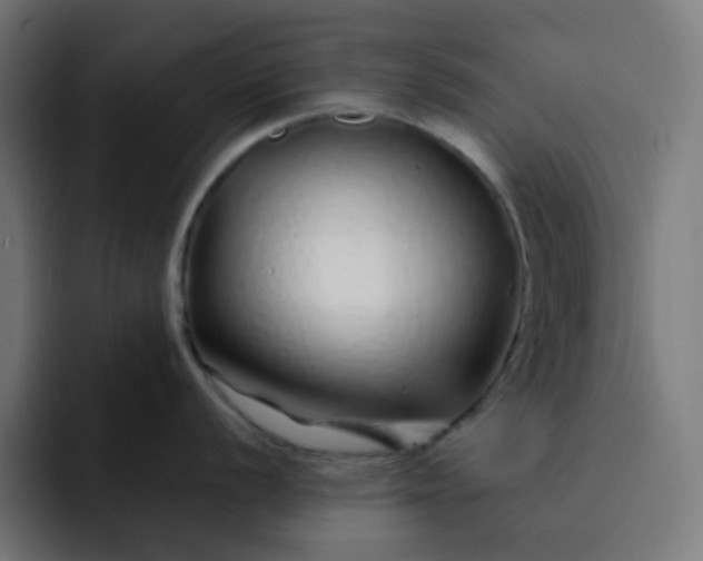 X0000093161056200710101150