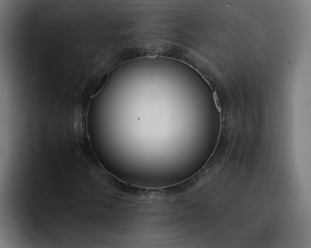 X0000093161058200710101150