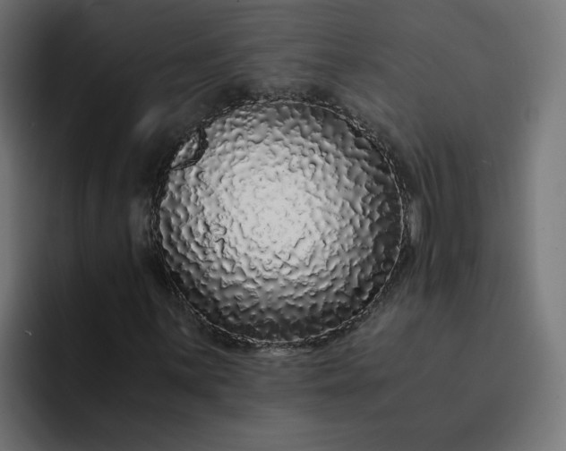 X0000093161059200710101150