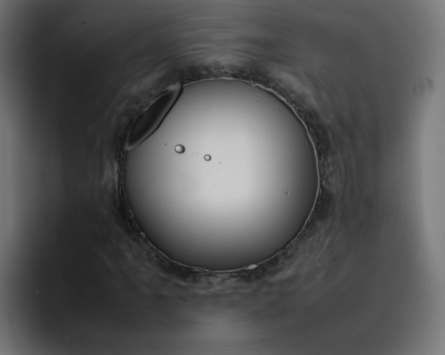 X0000093161061200710101150