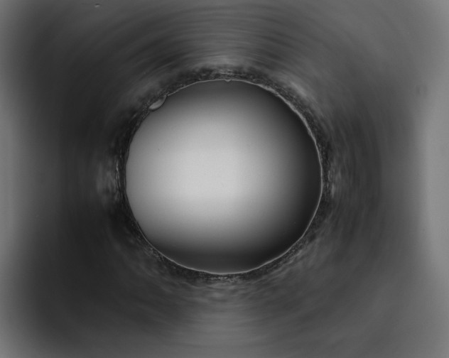 X0000093161062200710101150