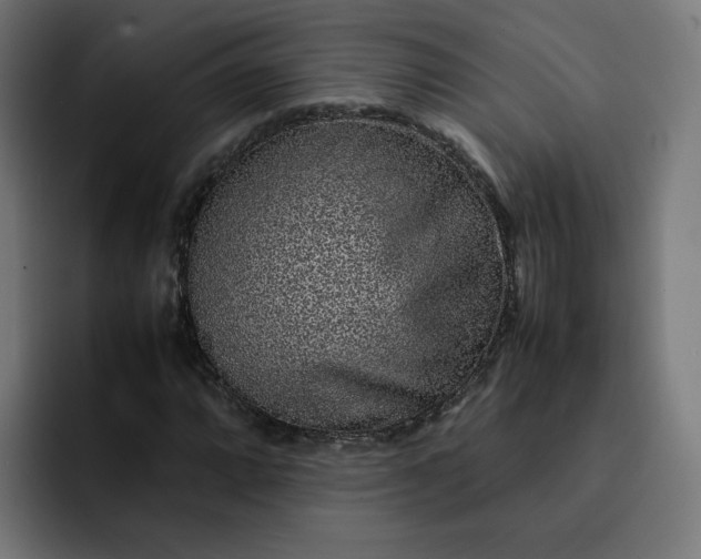 X0000093161064200710101150